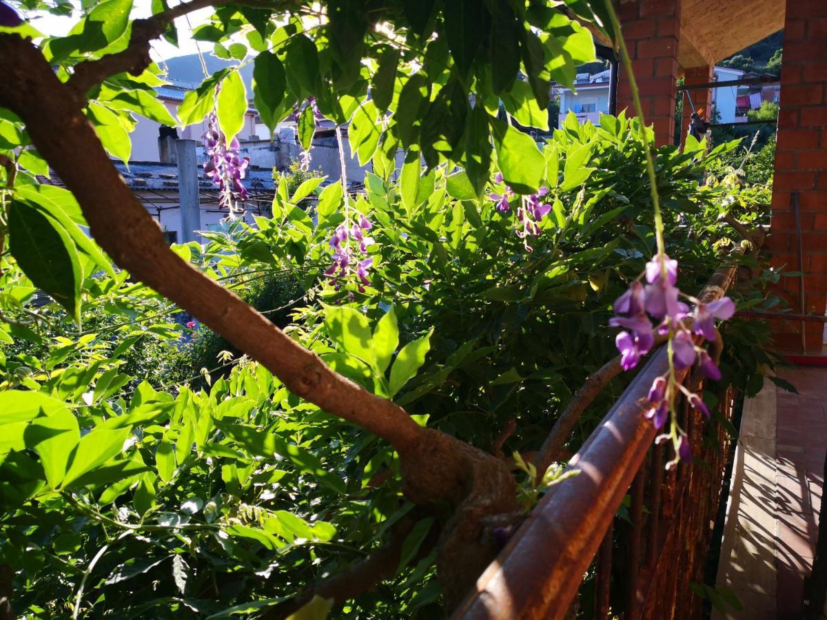 Zia Chiarina Bed & Breakfast San Nicolo Gerrei Ngoại thất bức ảnh