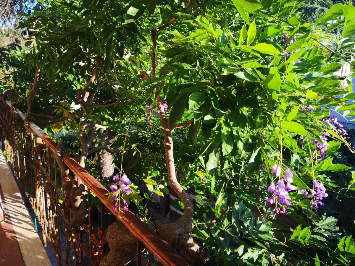 Zia Chiarina Bed & Breakfast San Nicolo Gerrei Ngoại thất bức ảnh