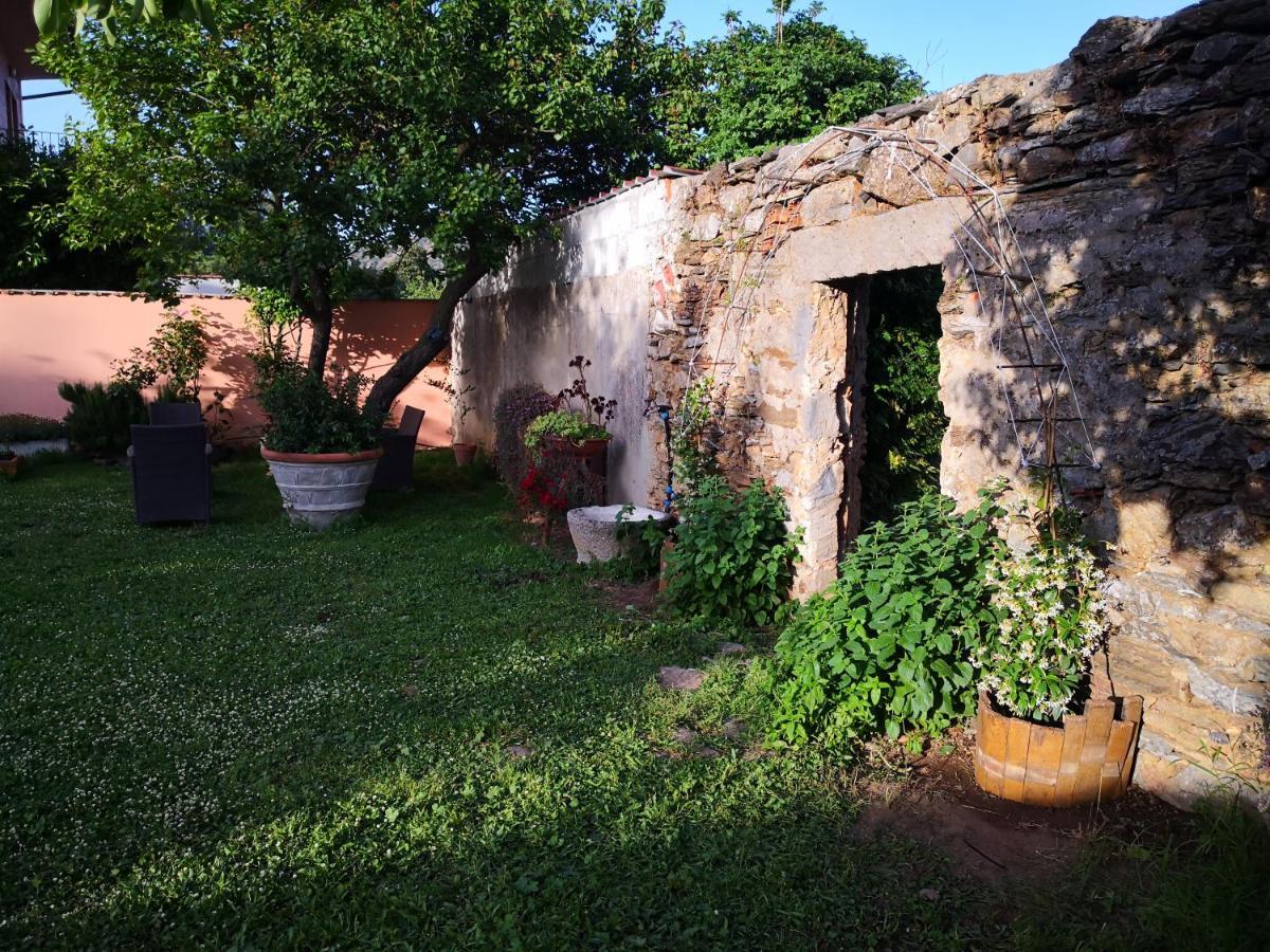 Zia Chiarina Bed & Breakfast San Nicolo Gerrei Ngoại thất bức ảnh