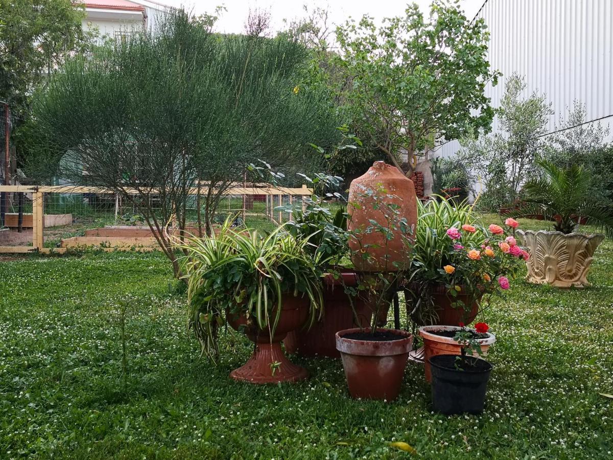 Zia Chiarina Bed & Breakfast San Nicolo Gerrei Ngoại thất bức ảnh