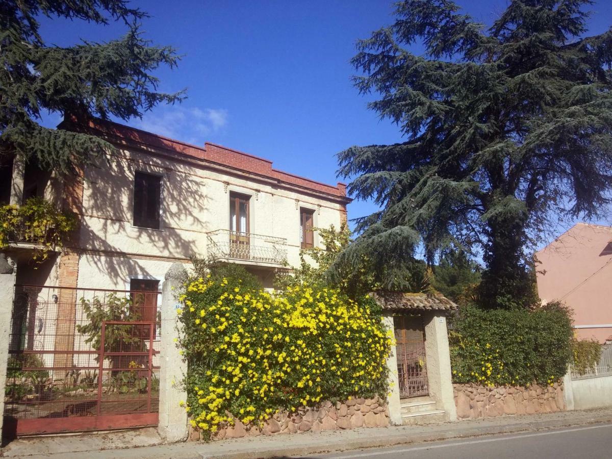 Zia Chiarina Bed & Breakfast San Nicolo Gerrei Ngoại thất bức ảnh