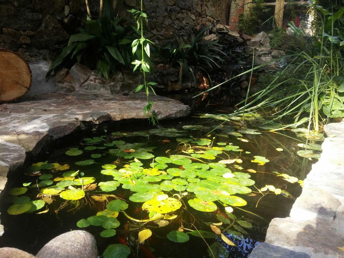 Zia Chiarina Bed & Breakfast San Nicolo Gerrei Ngoại thất bức ảnh