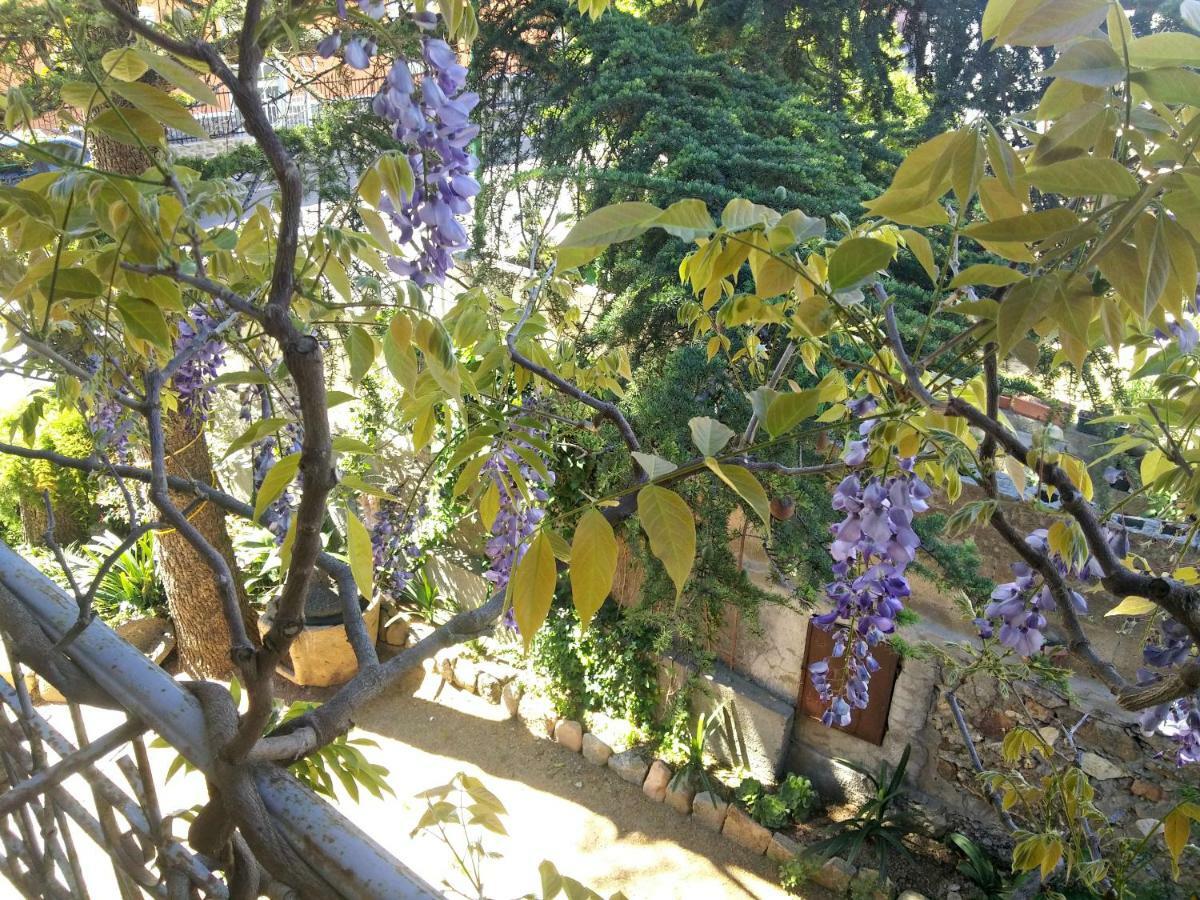 Zia Chiarina Bed & Breakfast San Nicolo Gerrei Ngoại thất bức ảnh