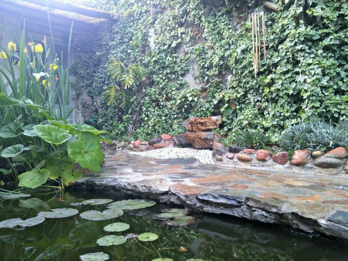 Zia Chiarina Bed & Breakfast San Nicolo Gerrei Ngoại thất bức ảnh