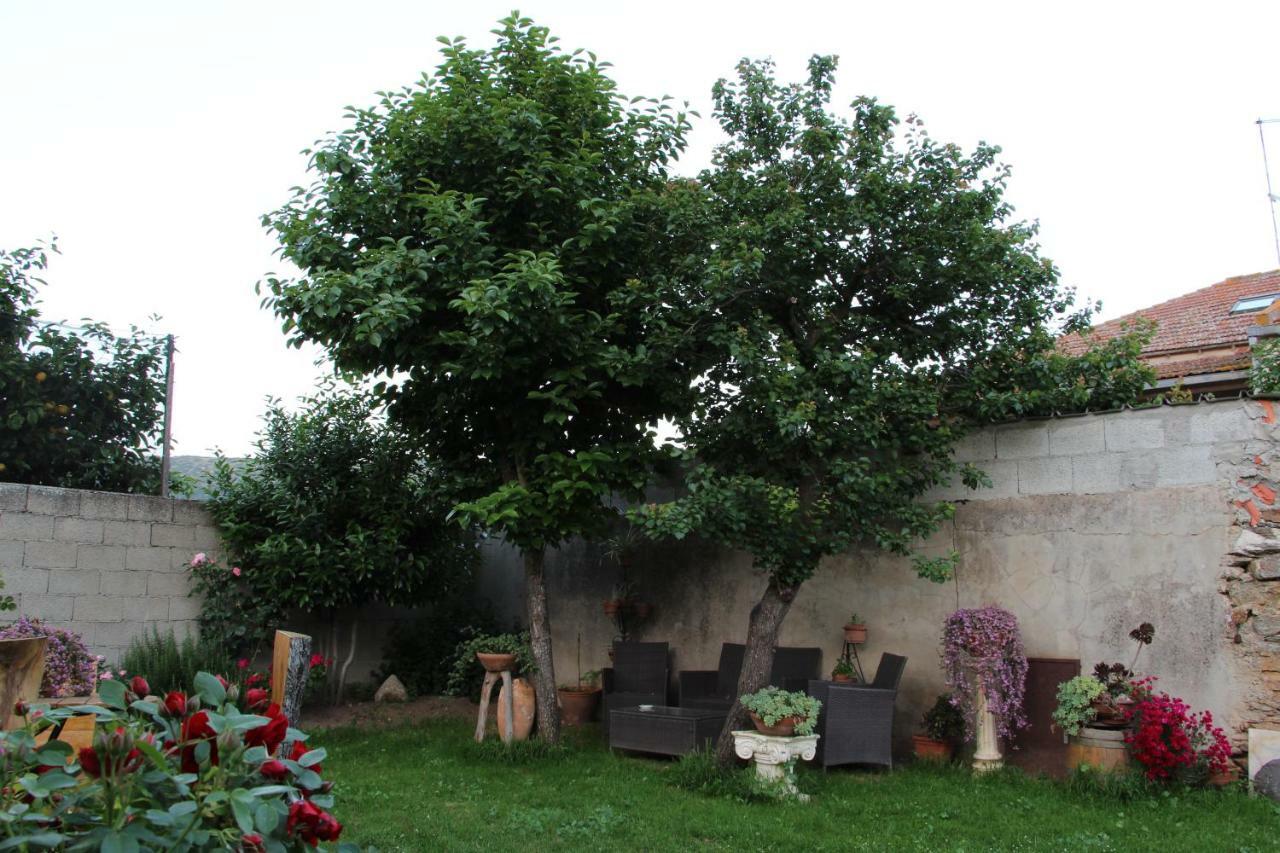 Zia Chiarina Bed & Breakfast San Nicolo Gerrei Ngoại thất bức ảnh